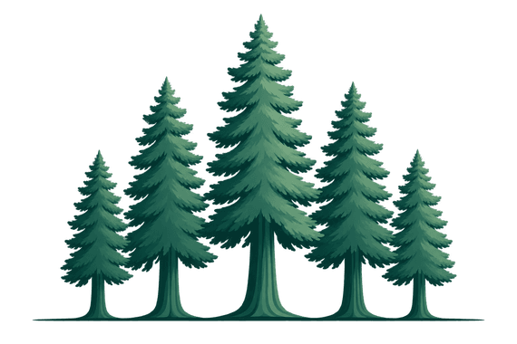 A stand of evergreen trees